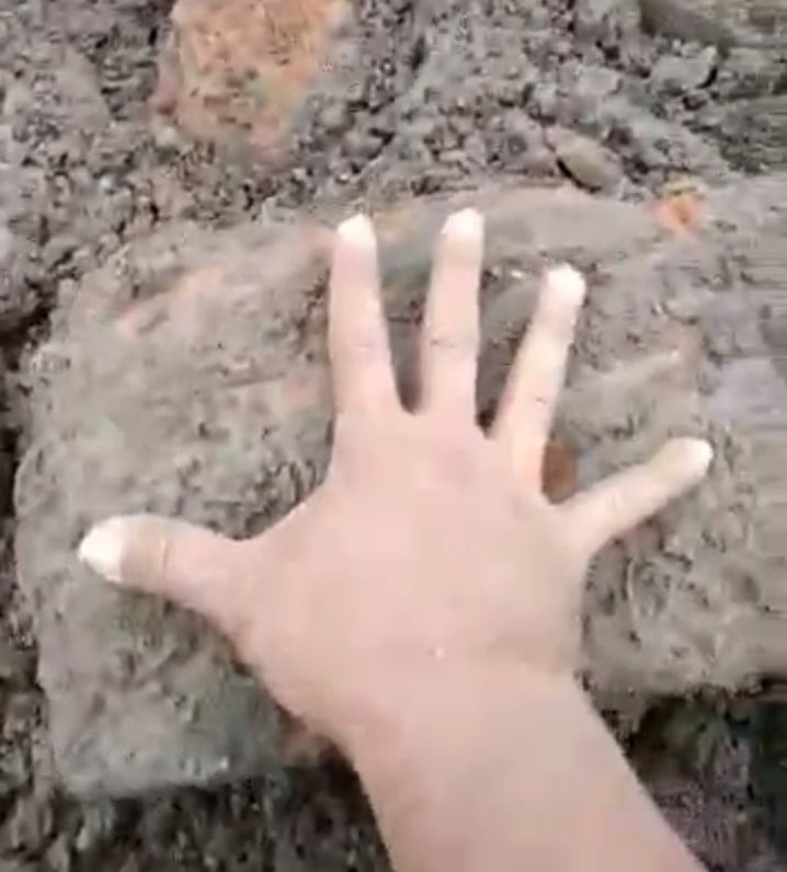 Tim Cagar Budaya Banyuwangi, Identifikasi Batu Bata Tersusun di Desa Balak Diperkirakan dari Abad 13 Majapahit