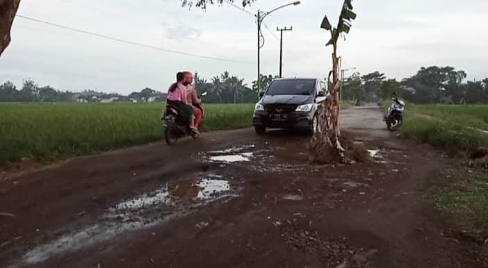 Warga Rogojampi Mengeluh, Jalan Penghubung dan Menuju Masjid Jami' Pancoran Rusak Parah