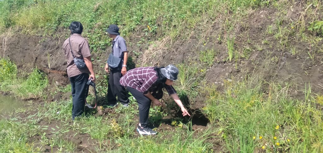Observasi awal ODCB Situs Balak, Songgon Banyuwangi