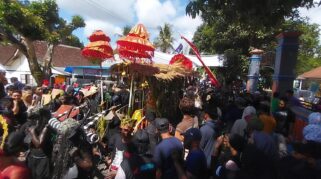 Ritual adat kebo-keboan alasmalang