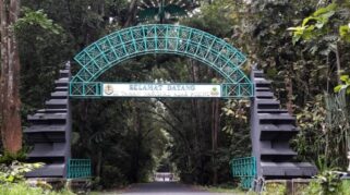 Wisatawan alas Purwo hilang