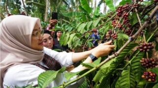 Pesta Rakyat Kopi Gombengsari