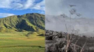 Balai Besar Taman Nasional Bromo Tanggapi Laporan Rombongan Prewedding Terkait Kebakaran