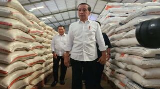 Presiden Jokowi pastikan stock beras dalam negeri aman saat kemarau