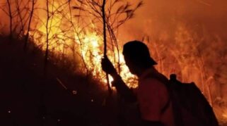 Kebakaran Gunung Arjuno,