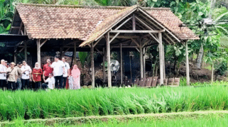 Menteri Zulkifli Hasan dan petani muda Banyuwangi di lokasi persawahan.