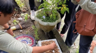 Mahasiswa KKN UNAIR sedang mengolah maggot BSF.