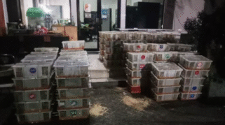 Keranjang berisi burung kicau yang disita petugas karantina di Banyuwangi.