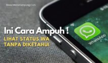 Mengintip status WA.