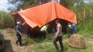 Polres Malang Bongkar Arena Sabung Ayam di Dampit