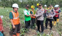 Kegiatan penanaman pohon bersama Perhutani di Petak 76 Banyuwangi Selatan