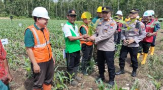 Kegiatan penanaman pohon bersama Perhutani di Petak 76 Banyuwangi Selatan