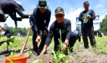 Penanaman bibit pohon di kawasan hutan Perhutani Banyuwangi Barat