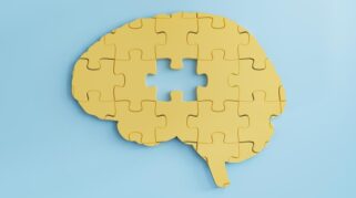 Ilustrasi perkembangan otak manusia hingga usia dewasa