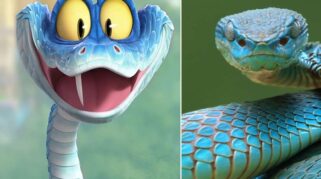 Ular pit viper Indonesia yang viral usai Zootopia 2