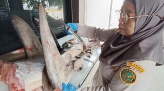 tim karantina pelabuhan ketapang