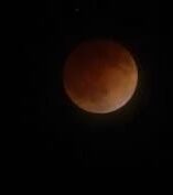 Fenomena Wolf Moon Januari 2026 tampak terang di langit malam