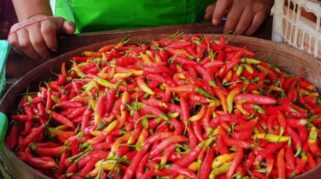 Sidak harga pangan di Pasar Semampir Probolinggo jelang Ramadhan