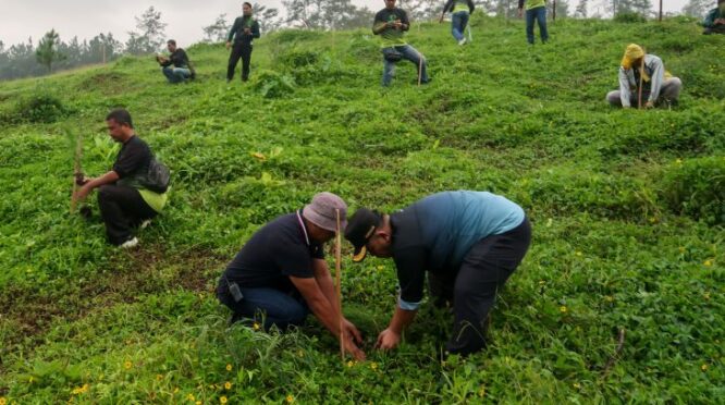 Warga tanam 1.447 bibit pohon di Gerbang Raung Banyuwangi