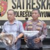 Satreskrim polresta banyuwangi ungkap pelaku pengeroyokan di ketapang banyuwangi.