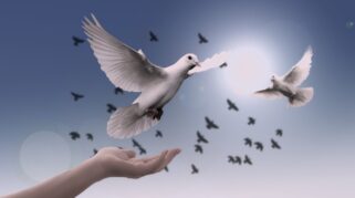 Ilustrasi umat Islam menjalankan ibadah puasa Ramadan