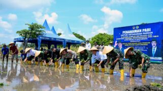Warga binaan Lapas Banyuwangi menanam padi di lahan hibah